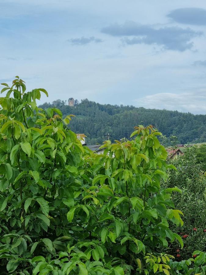 Vila Domek Drwala K. Karpacza Sosnówka Exteriér fotografie