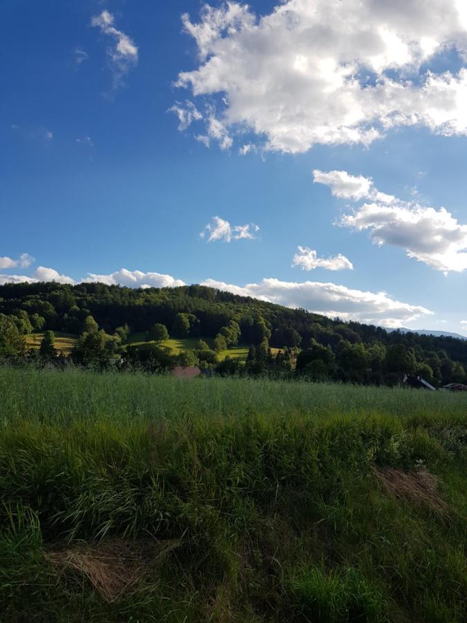 Vila Domek Drwala K. Karpacza Sosnówka Exteriér fotografie