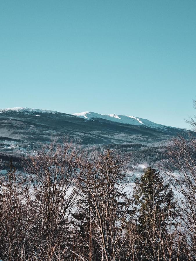 Vila Domek Drwala K. Karpacza Sosnówka Exteriér fotografie