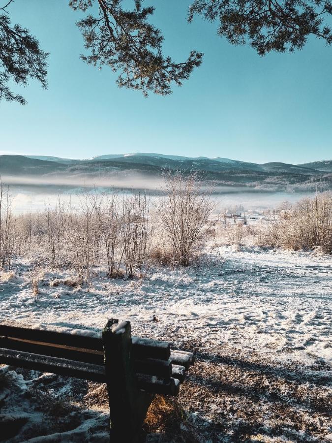 Vila Domek Drwala K. Karpacza Sosnówka Exteriér fotografie