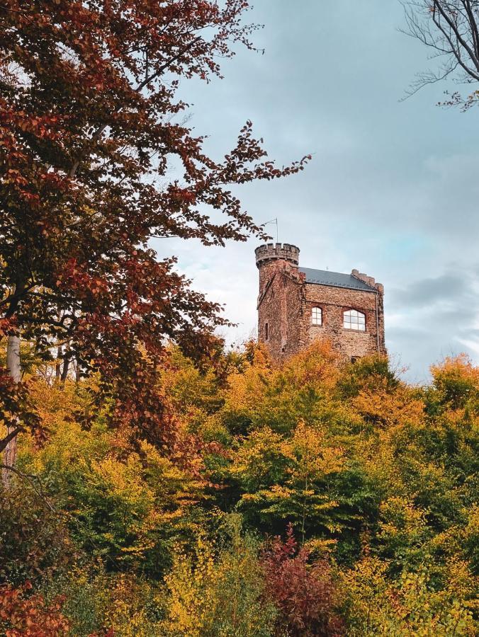 Vila Domek Drwala K. Karpacza Sosnówka Exteriér fotografie